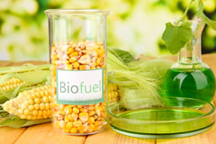 Bryn Pen Y Lan biofuel availability