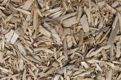 biomass boilers Bryn Pen Y Lan